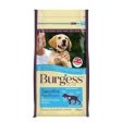 Burgess Sensitive Puppy Turkey & Rice 2kg For Sale