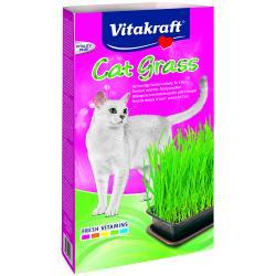 Vitakraft Cat Grass 24031 For Cheap