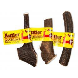 Antos Antler Large Online Sale