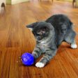 KONG Cat Treat Ball For Cheap