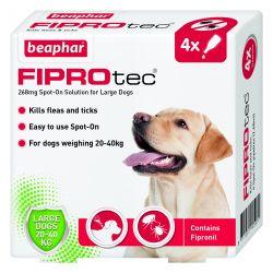 Beaphar FIPROtec Spot On Large Dog 4 pipette 4tmnt Online now