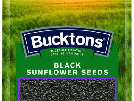 Black Sunflower Seed 20kg For Cheap