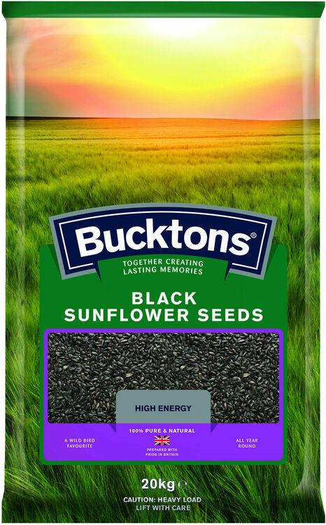 Black Sunflower Seed 20kg For Cheap