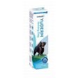 YuDERM Itching Dog 500ml Cheap