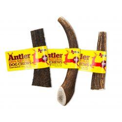 Antos Antler Medium For Discount