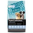 Burns Puppy Lamb 6kg Online Hot Sale