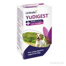 YuDIGEST Plus Dog 6 sachets For Sale